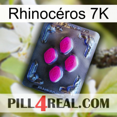 Rhinocéros 7K 02